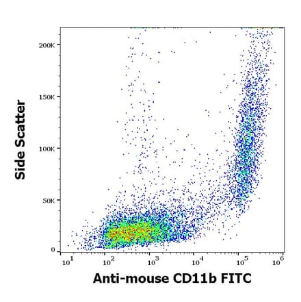 Flow Cytometry - Anti-CD11b Antibody [M1/70] (FITC) (A85796)