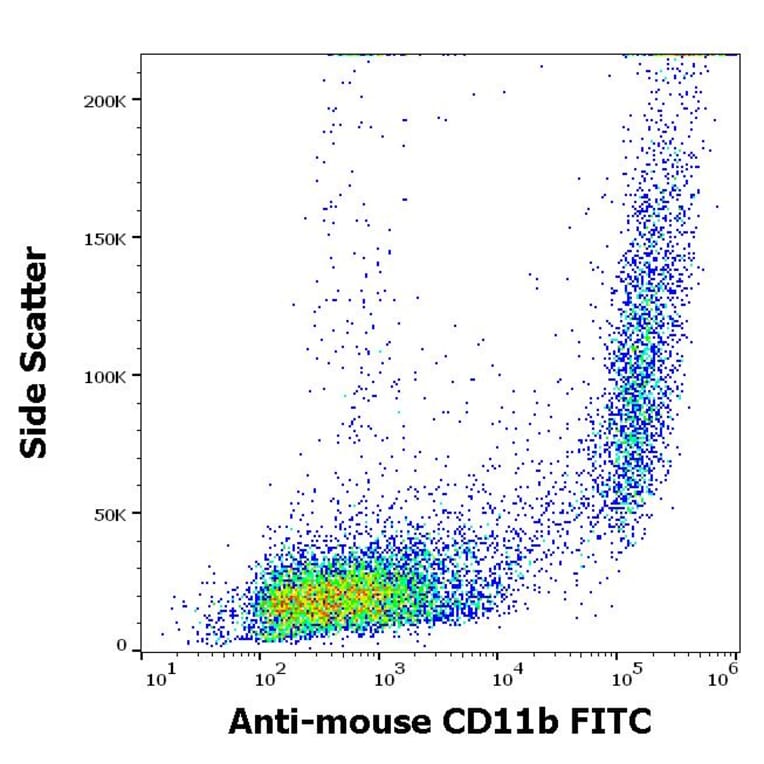 Flow Cytometry - Anti-CD11b Antibody [M1/70] (FITC) (A85796)