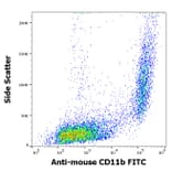 Flow Cytometry - Anti-CD11b Antibody [M1/70] (FITC) (A85796)