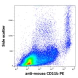 Flow Cytometry - Anti-CD11b Antibody [M1/70] (PE) (A85797)