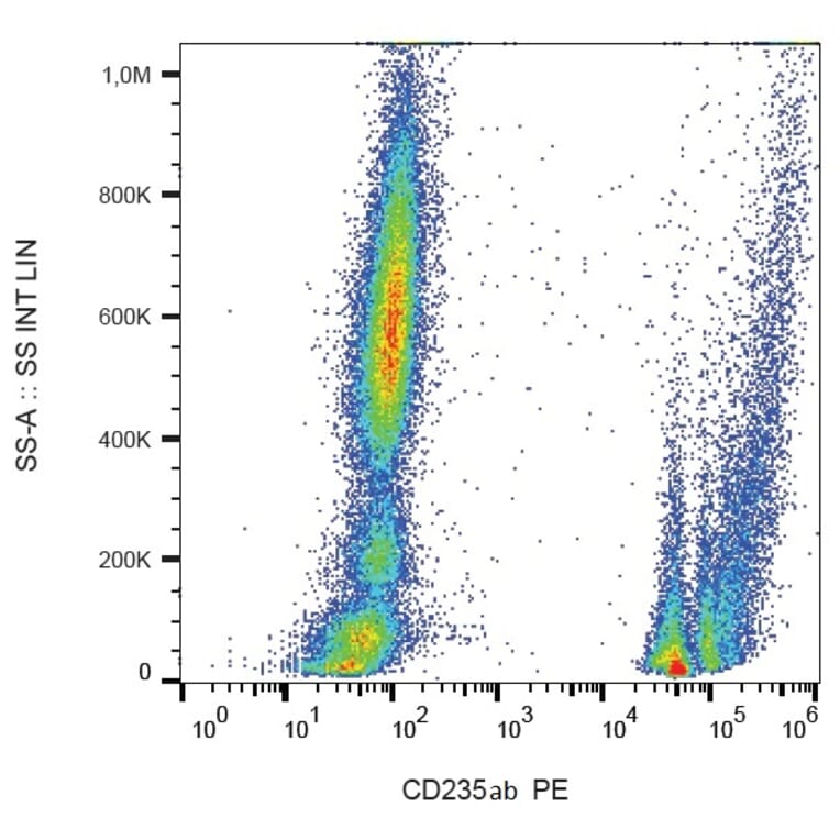Flow Cytometry - Anti-Glycophorin A + B Antibody [HIR2] (PE) (A85801)