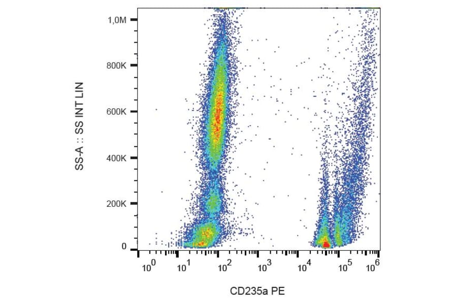 Flow Cytometry - Anti-Glycophorin A Antibody [HIR2] (PE) (A85797) - Antibodies.com