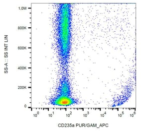 Flow Cytometry - Anti-Glycophorin A Antibody [HIR2] (A85801) - Antibodies.com