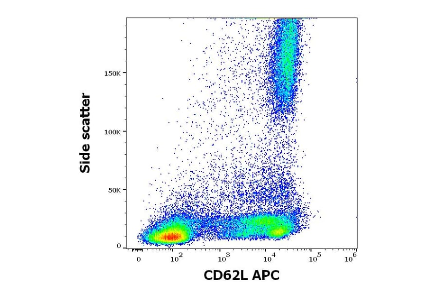 Flow Cytometry - Anti-CD62L Antibody [LT-TD180] (APC) (A85806)