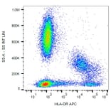 Flow Cytometry - Anti-HLA DR Antibody [MEM-12] (APC) (A85807)