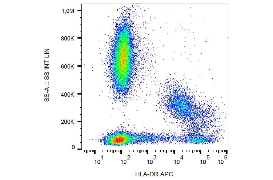 Flow Cytometry - Anti-HLA DR Antibody [MEM-12] (APC) (A85806) - Antibodies.com