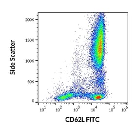 Flow Cytometry - Anti-CD62L Antibody [LT-TD180] (FITC) (A85808)