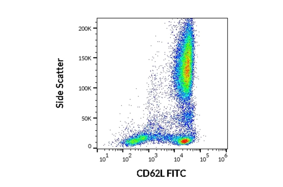 Flow Cytometry - Anti-CD62L Antibody [LT-TD180] (FITC) (A85808)
