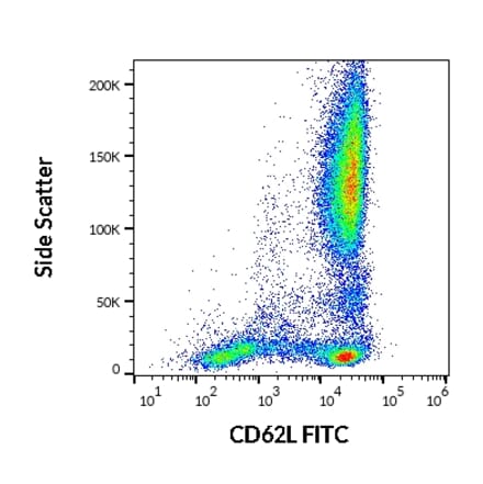 Flow Cytometry - Anti-CD62L Antibody [LT-TD180] (FITC) (A85808)