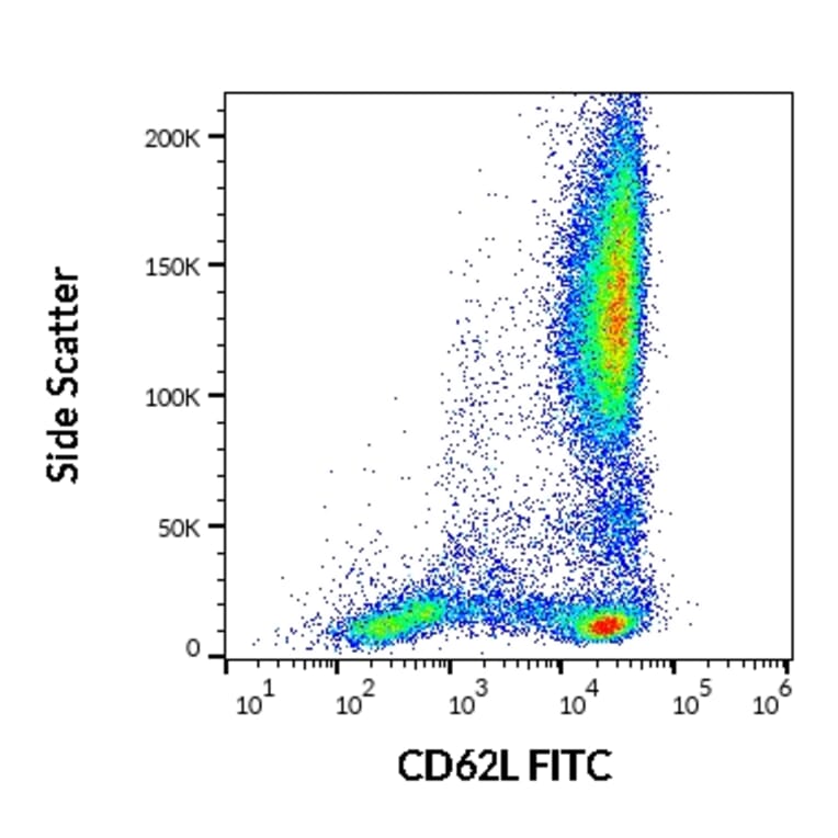 Flow Cytometry - Anti-CD62L Antibody [LT-TD180] (FITC) (A85808)