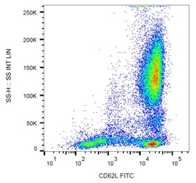 Flow Cytometry - Anti-CD62L Antibody [LT-TD180] (FITC) (A85807) - Antibodies.com