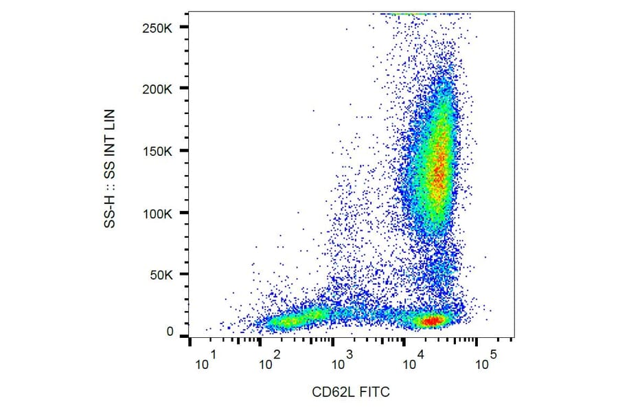 Flow Cytometry - Anti-CD62L Antibody [LT-TD180] (FITC) (A85807) - Antibodies.com