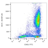 Flow Cytometry - Anti-CD62L Antibody [LT-TD180] (FITC) (A85807) - Antibodies.com