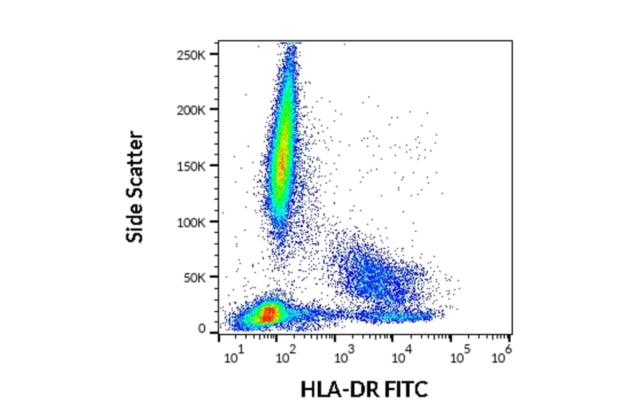 Flow Cytometry - Anti-HLA DR Antibody [MEM-12] (FITC) (A85809)