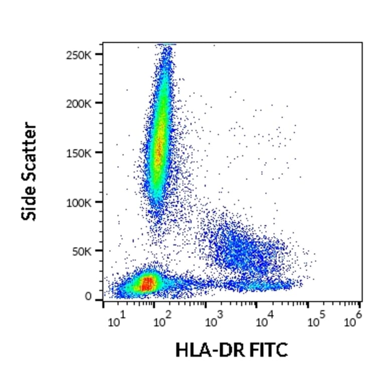Flow Cytometry - Anti-HLA DR Antibody [MEM-12] (FITC) (A85716) - Antibodies.com