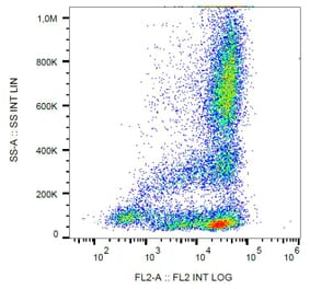 Flow Cytometry - Anti-CD62L Antibody [LT-TD180] (PE) (A85808) - Antibodies.com