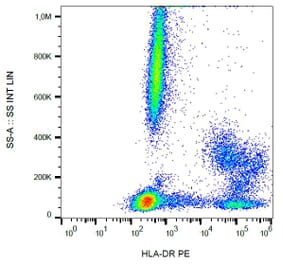Flow Cytometry - Anti-HLA DR Antibody [MEM-12] (PE) (A85811)