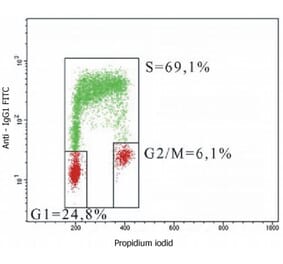 Flow Cytometry - Anti-BrdU Antibody [MoBu-1] (A85813)