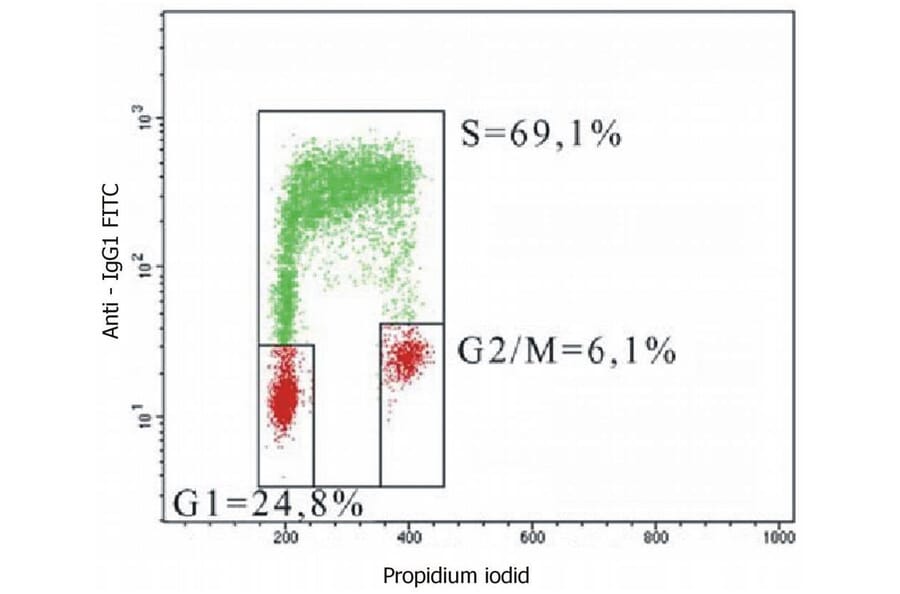 Flow Cytometry - Anti-BrdU Antibody [MoBu-1] (A85813)