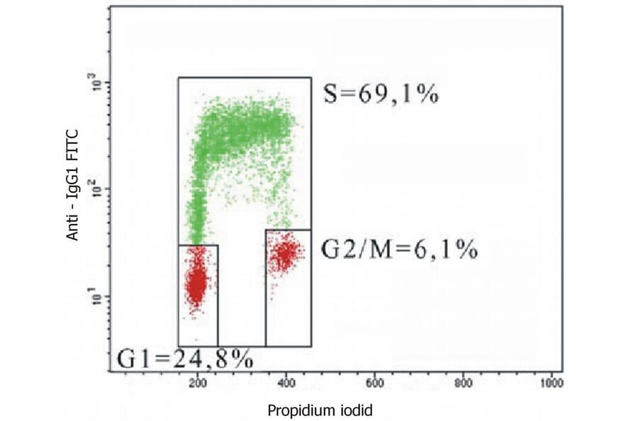 Flow Cytometry - Anti-BrdU Antibody [MoBu-1] (A85812) - Antibodies.com