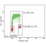Flow Cytometry - Anti-BrdU Antibody [MoBu-1] (A85812) - Antibodies.com