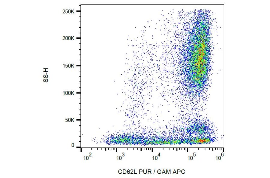 Flow Cytometry - Anti-CD62L Antibody [LT-TD180] (A85814)