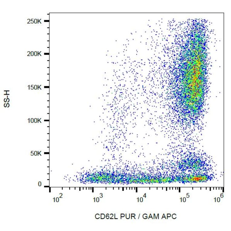 Flow Cytometry - Anti-CD62L Antibody [LT-TD180] (A85814)