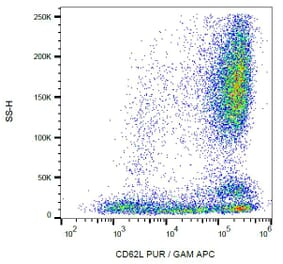 Flow Cytometry - Anti-CD62L Antibody [LT-TD180] (A85813) - Antibodies.com