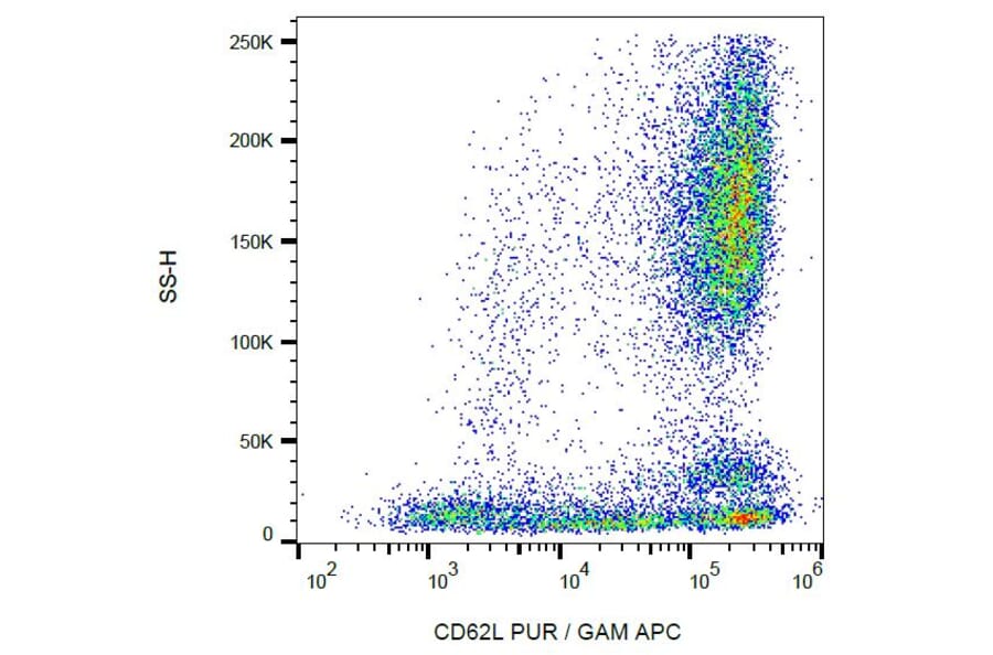 Flow Cytometry - Anti-CD62L Antibody [LT-TD180] (A85813) - Antibodies.com