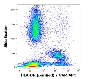 Flow Cytometry - Anti-HLA-DR Antibody [MEM-12] (A85815)