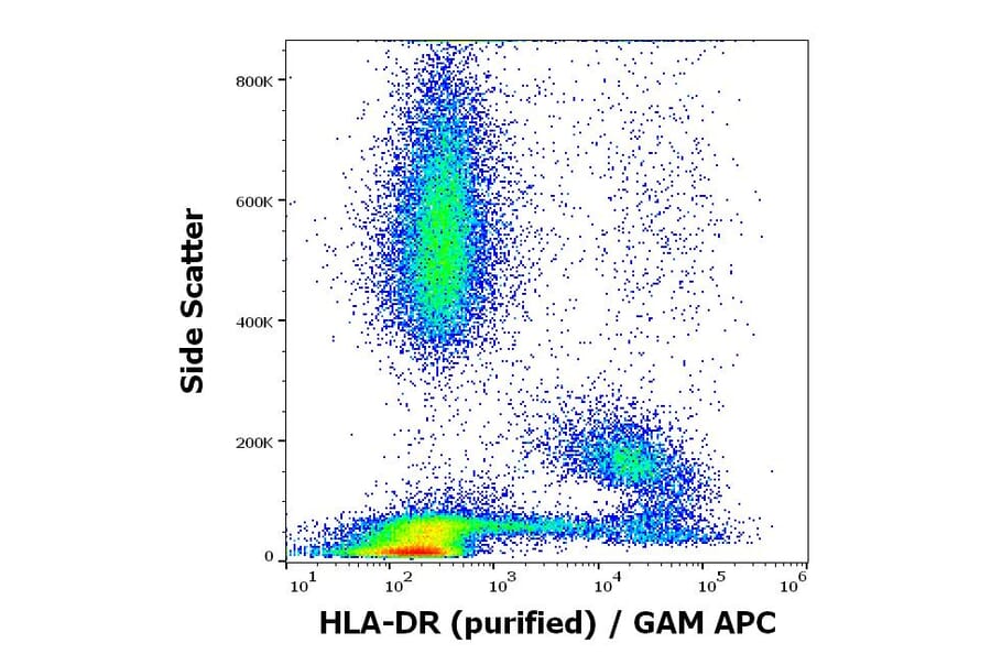 Flow Cytometry - Anti-HLA-DR Antibody [MEM-12] (A85815)