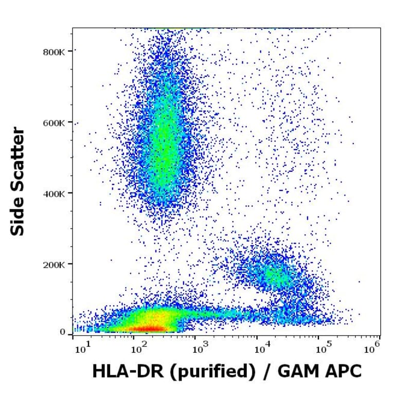 Flow Cytometry - Anti-HLA-DR Antibody [MEM-12] (A85815)