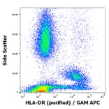Flow Cytometry - Anti-HLA-DR Antibody [MEM-12] (A85815)