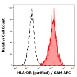Flow Cytometry - Anti-HLA-DR Antibody [MEM-12] (A85815)