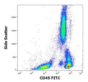 Flow Cytometry - Anti-CD45 Antibody [2D1] (FITC) (A85816)