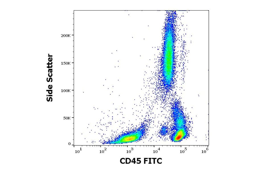Flow Cytometry - Anti-CD45 Antibody [2D1] (FITC) (A85816)
