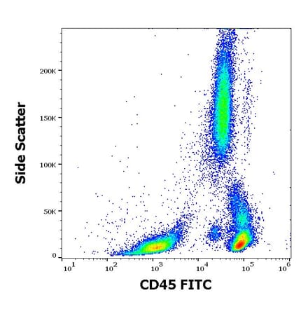 Flow Cytometry - Anti-CD45 Antibody [2D1] (FITC) (A85816)