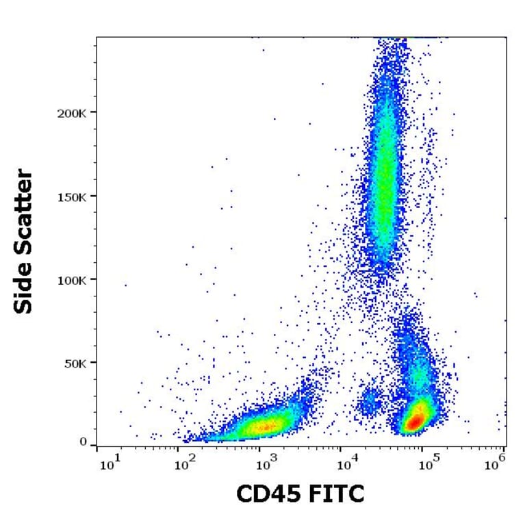Flow Cytometry - Anti-CD45 Antibody [2D1] (FITC) (A85816)