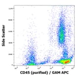 Flow Cytometry - Anti-CD45 Antibody [2D1] (A85817)