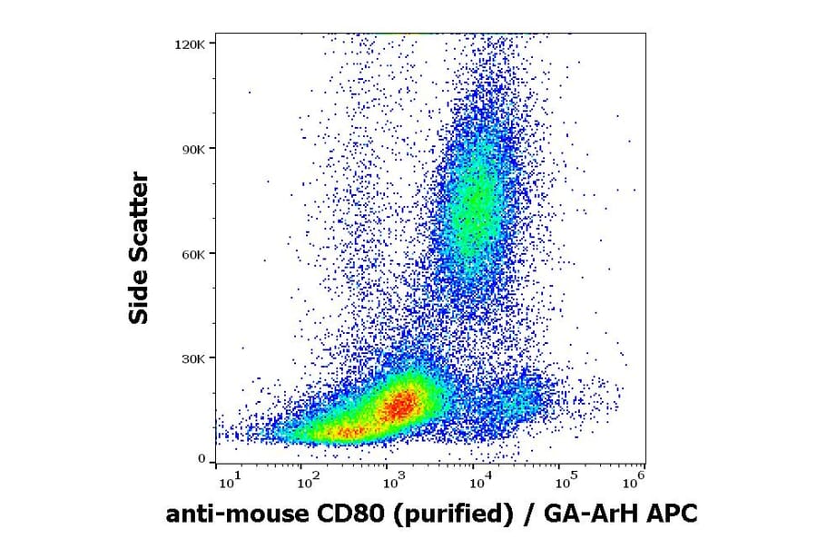 Flow Cytometry - Anti-CD80 Antibody [16-10A1] (A85826)