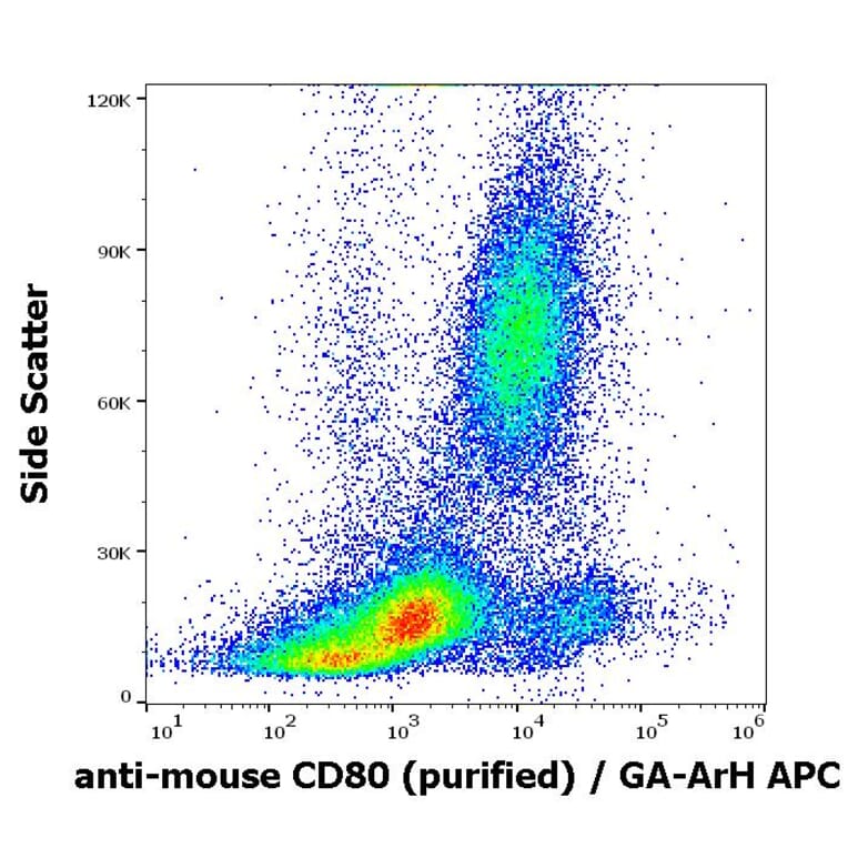 Flow Cytometry - Anti-CD80 Antibody [16-10A1] (A85826)