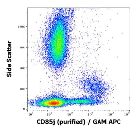 Flow Cytometry - Anti-LILRB1 Antibody [GHI/75] (A85831)