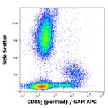 Flow Cytometry - Anti-LILRB1 Antibody [GHI/75] (A85831)