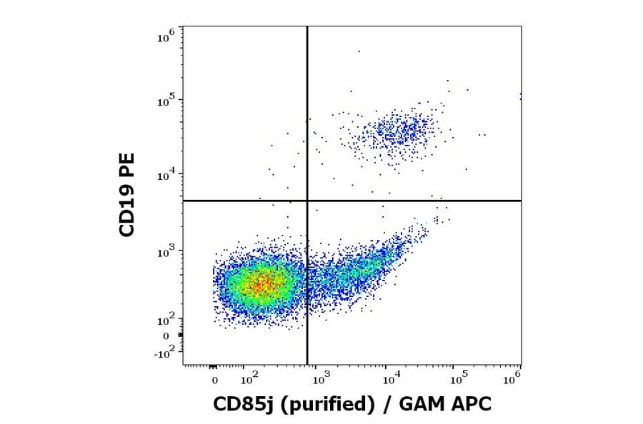 Flow Cytometry - Anti-LILRB1 Antibody [GHI/75] (A85831)