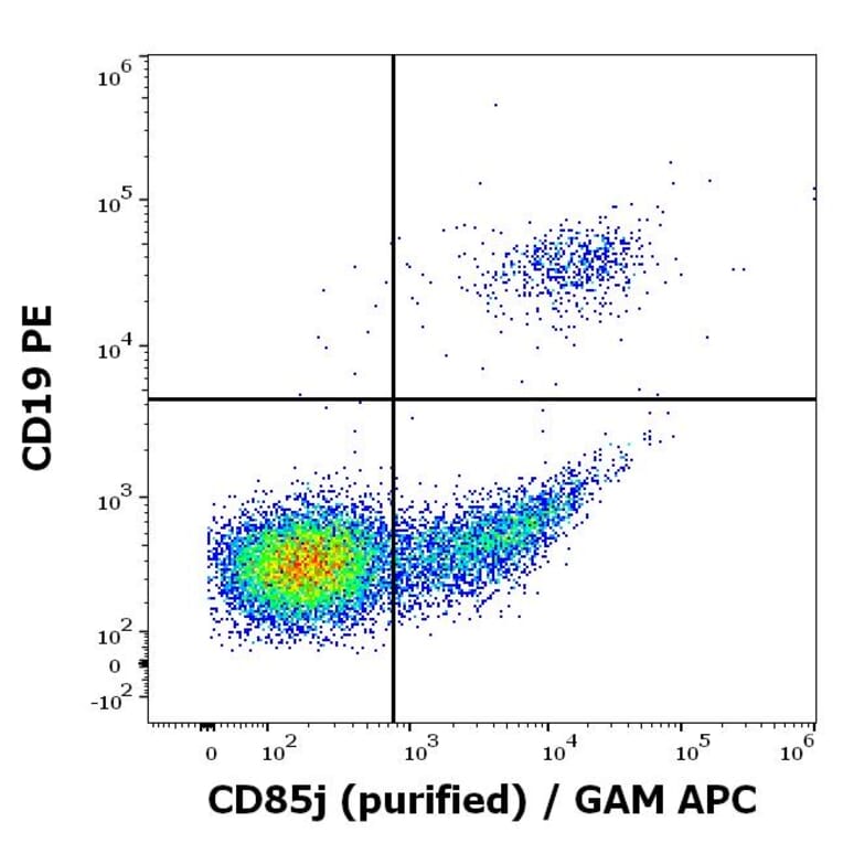 Flow Cytometry - Anti-LILRB1 Antibody [GHI/75] (A85831)