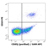 Flow Cytometry - Anti-LILRB1 Antibody [GHI/75] (A85831)