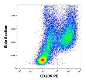 Flow Cytometry - Anti-Mannose Receptor Antibody [15-2] (PE) (A85834)