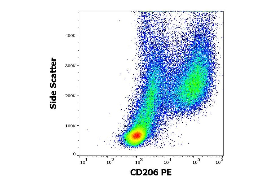 Flow Cytometry - Anti-Mannose Receptor Antibody [15-2] (PE) (A85834)