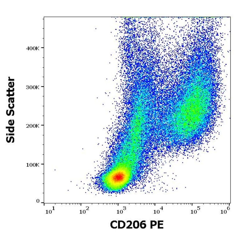 Flow Cytometry - Anti-Mannose Receptor Antibody [15-2] (PE) (A85834)