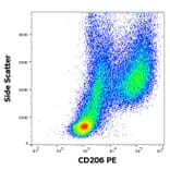 Flow Cytometry - Anti-Mannose Receptor Antibody [15-2] (PE) (A85834)
